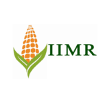 IIMR - Delhi