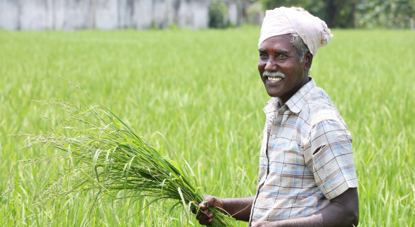 Seed Company in India - Bringing Innovation to Farming